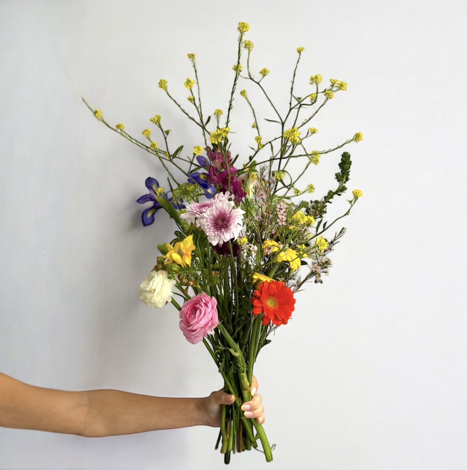 Photoroom_20240826_134056 2